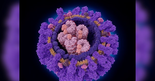  Phát hiện một loại kháng thể với thể nhắm vào nhiều chủng virus cúm cùng lúc
