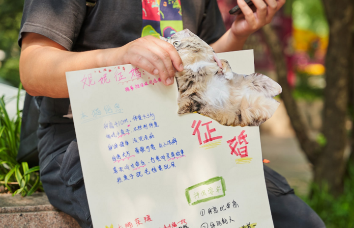 Một thanh niên cầm tấm áp phích giới thiệu về chú mèo của mình tại công viên Nhân dân ở Thượng Hải, Trung Quốc. (Ảnh: Sixthtone)